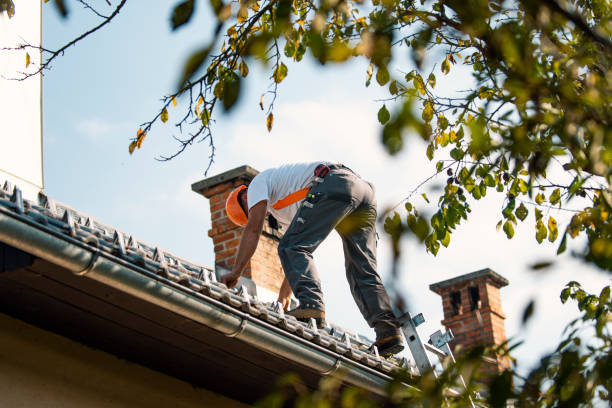 Best Residential Roofing Contractor  in Center Line, MI