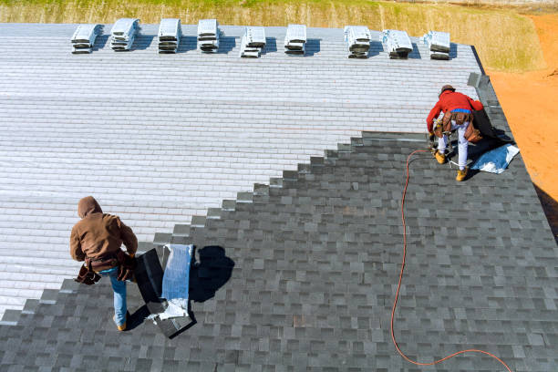 Best Roof Leak Repair  in Center Line, MI