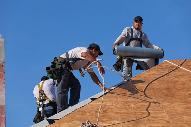 Best Flat Roof Repair Services  in Center Line, MI