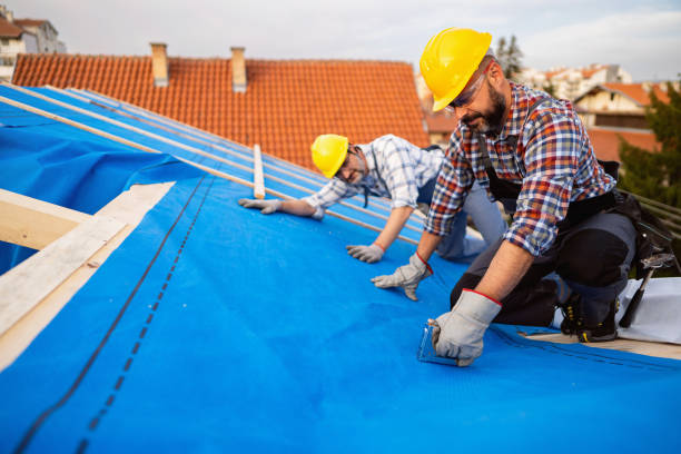 Best New Roof Installation  in Center Line, MI