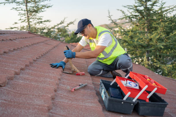 Best Roof Repair Services  in Center Line, MI